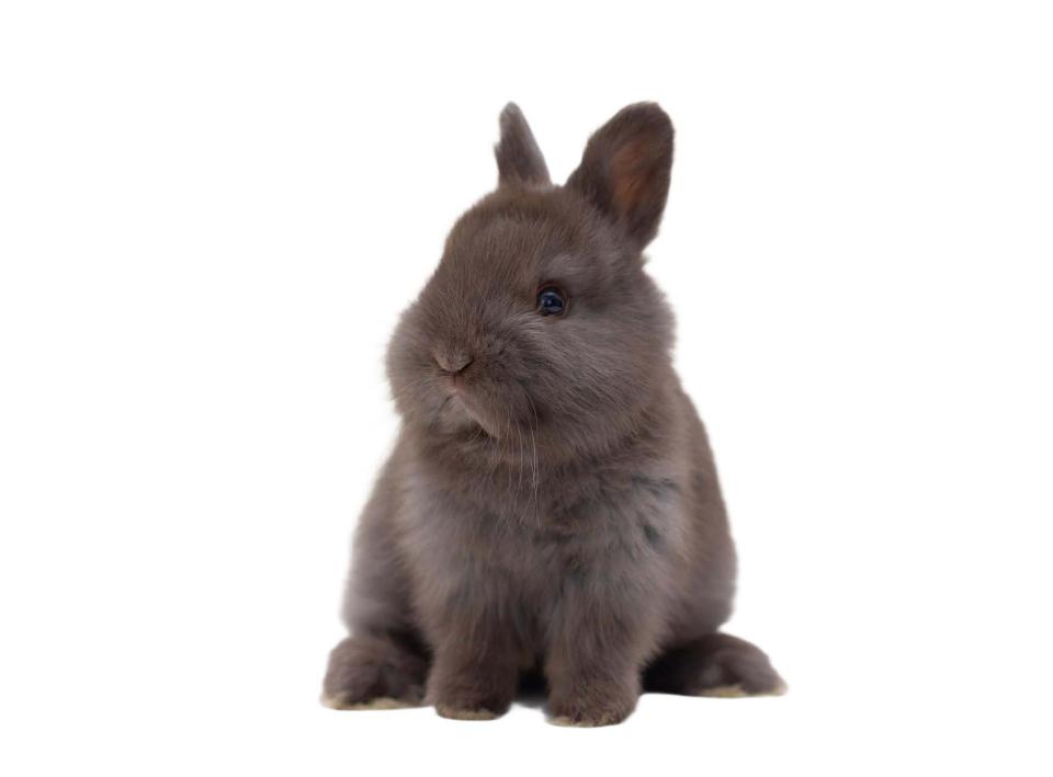 Tratamiento para reducción de proteinuria